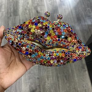 Multi color lip purse